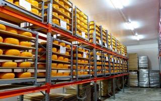 Организация производства сыра (на примере твердого сорта) — перспективный и постоянно совершенствующийся вид бизнеса Сыроварня как малый бизнес